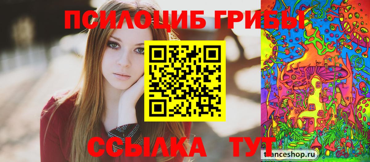 Псилоцибиновые грибы Psilocybine cubensis  Псилоцибиновые грибы MAGIC MUSHROOMS  Вход с VPN  Глазов 