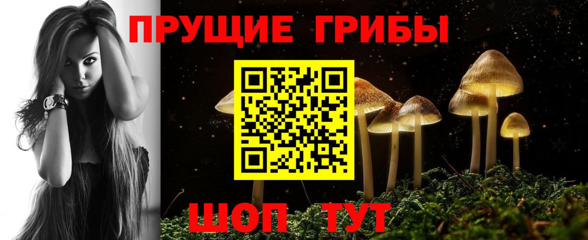 Галлюциногенные грибы MAGIC MUSHROOMS Глазов